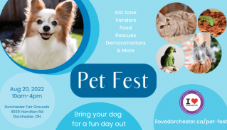 xPet-Fest-1024x576.png.pagespeed.ic_.kQDp5aE-B5.png xPet-Fest-1024x576.png.pagespeed.ic_.kQDp5aE-B5.png